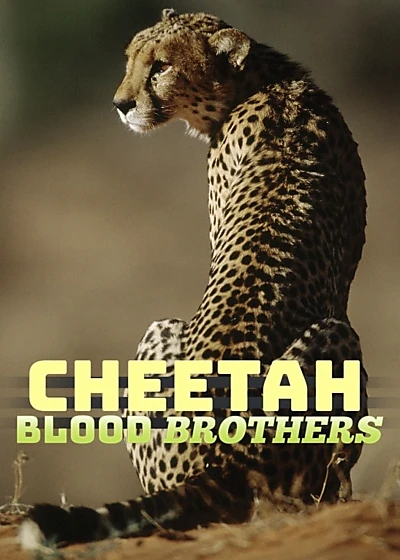 Cheetah Blood Brothers