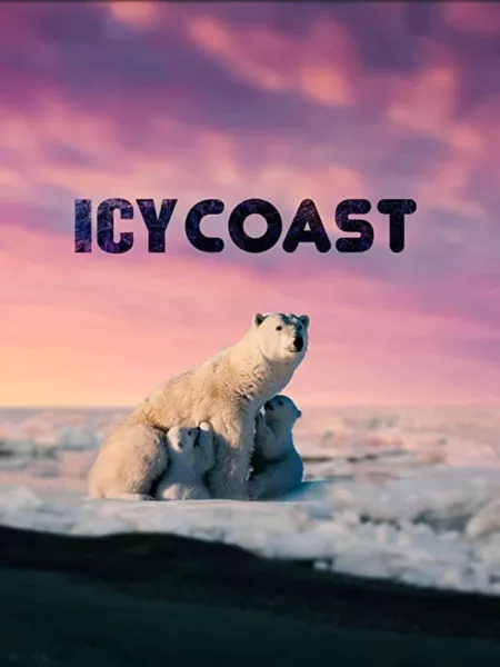 Icy Coasts