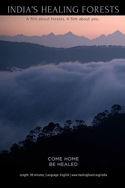 India's Healing Forests