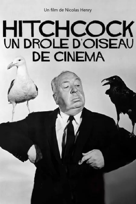 Hitchcock, un drôle d'oiseau de cinéma