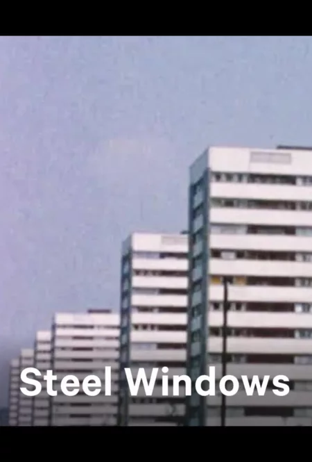 Steel Windows