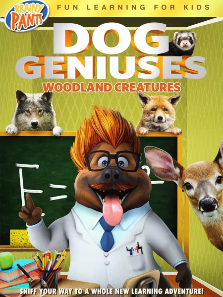 Dog Geniuses: Woodland Creatures