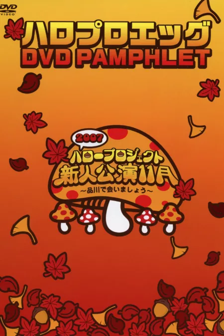 Hello Pro Egg DVD Pamphlet