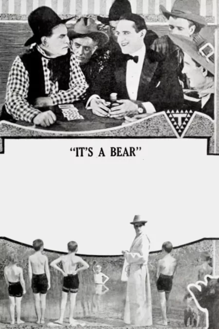 It's a Bear