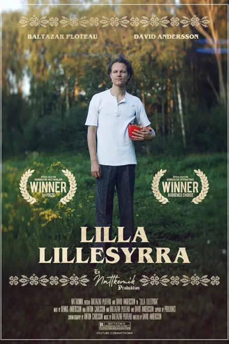 Lilla Lillesyrra