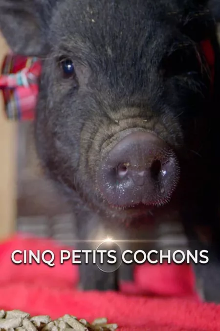 Cinq petits cochons