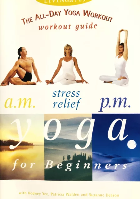 All Day Yoga for Beginners