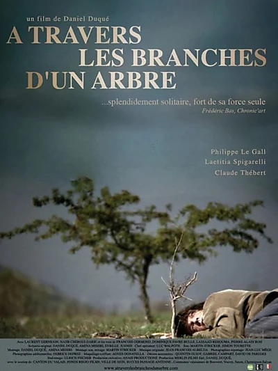 À travers les branches d'un arbre