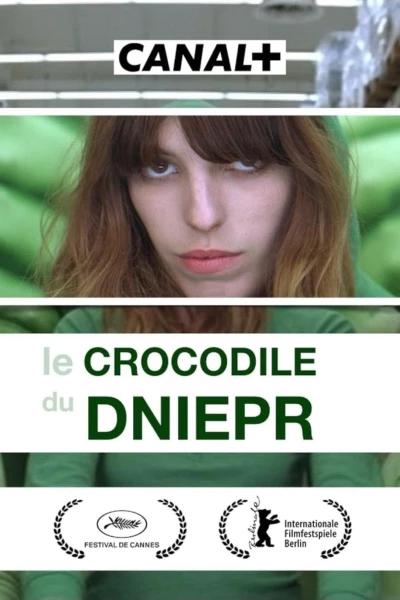 Dnipro Crocodile