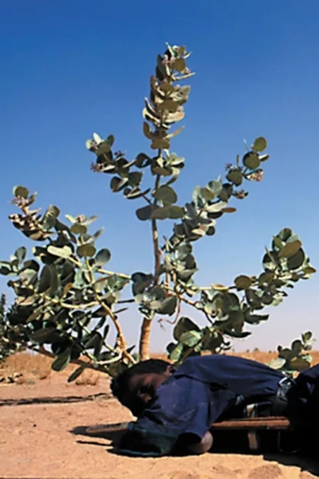 Tchissète, The Mirror of the Tuareg