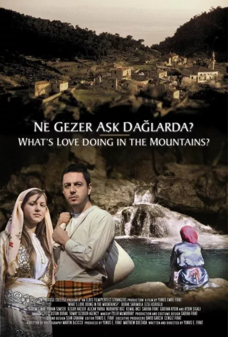 Ne Gezer Aşk Dağlarda?