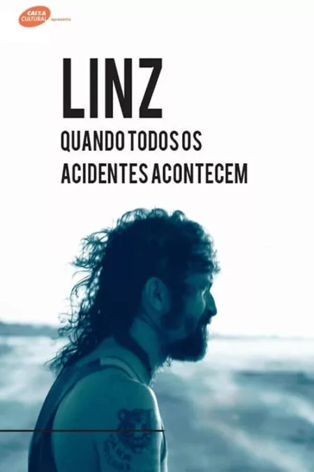 Linz - Quando Todos os Acidentes Acontecem