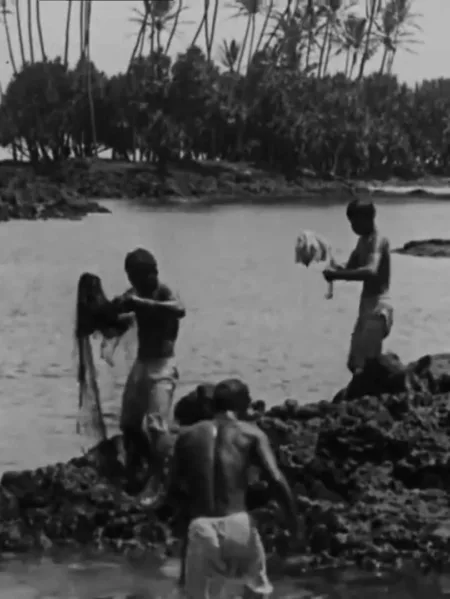 Kanaka Fishermen Casting the Throw Net, Hilo, H.I.