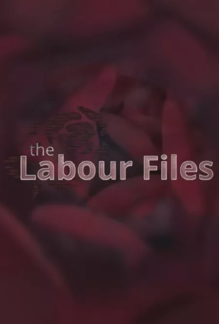 The Labour Files