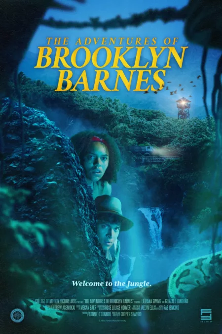 The Adventures of Brooklyn Barnes