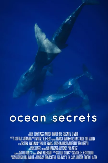 Ocean Secrets