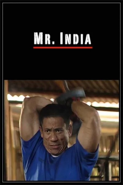 Mr. India