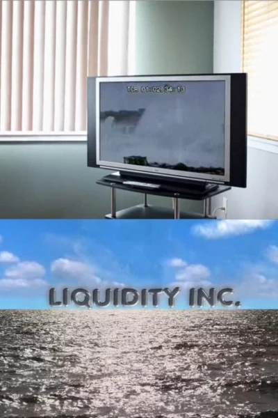 Liquidity Inc.