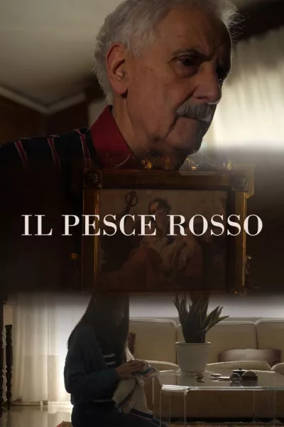 Il Pesce Rosso