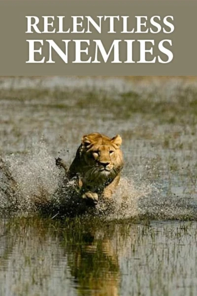 Relentless Enemies: Revealed