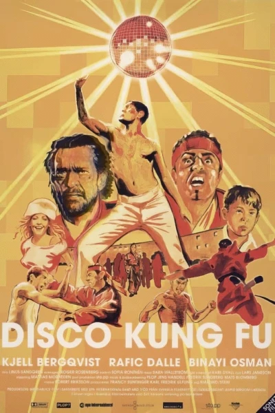 Disco Kung Fu