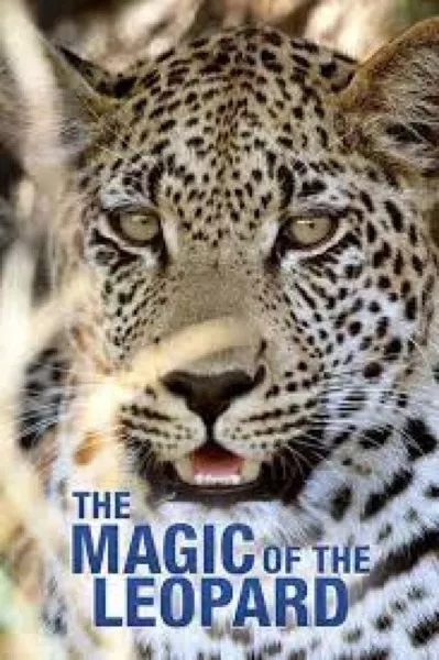 The Magic of the Leopard