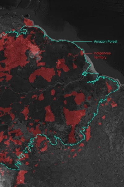 Gold Mining and Violence in the Amazon Rainforest