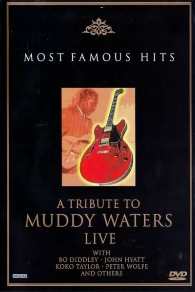 A Tribute to Muddy Waters - Live