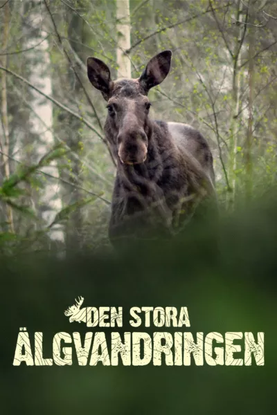 Den stora älgvandringen