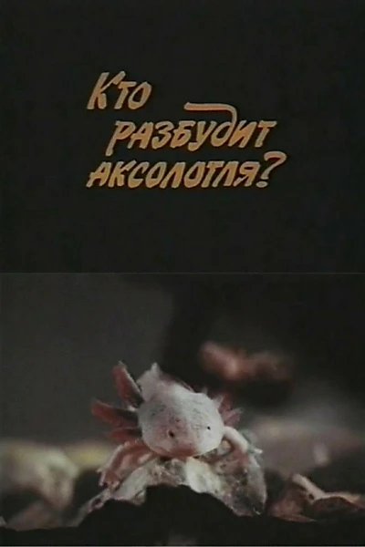 Who Will Wake Up the Axolotl?