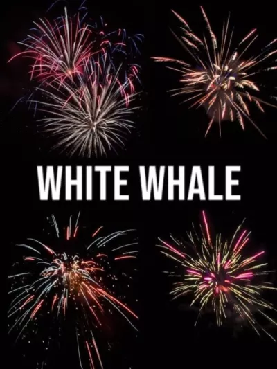 White Whale