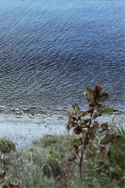 Seconda passeggiata - La casa in riva al mare