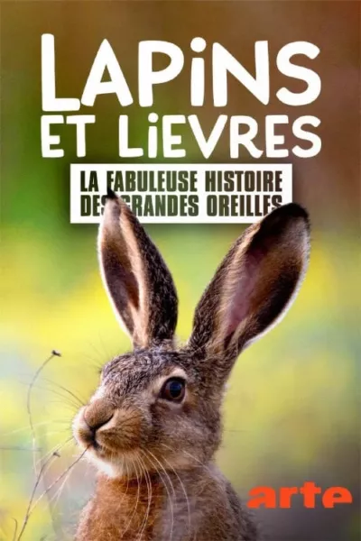 Lapins et lièvres - La fabuleuse histoire des grandes oreilles