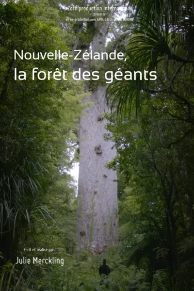 Nouvelle-Zélande - La forêt des géants