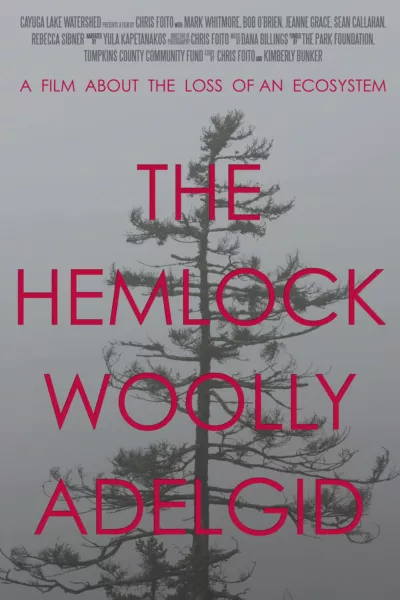 The Hemlock Woolly Adelgid: A Film About the Loss of an Ecosystem