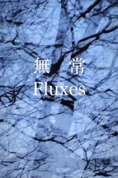 FLUXES