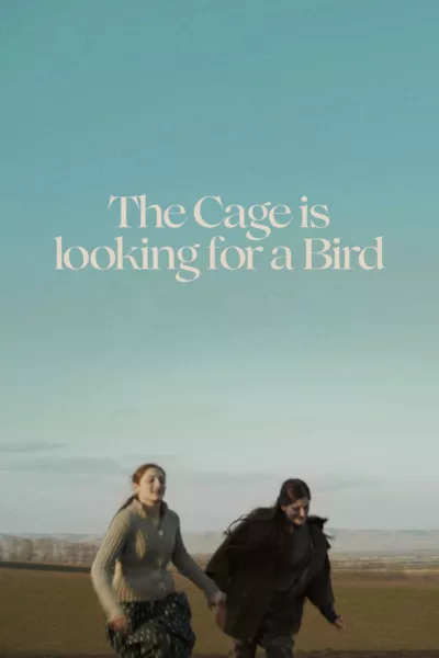 The Cage is Looking for a Bird