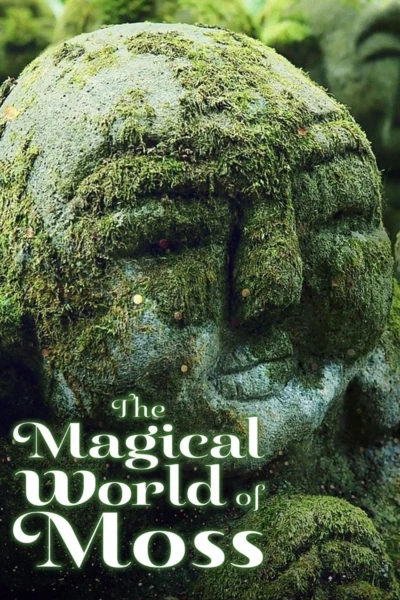 The Magical World of Moss