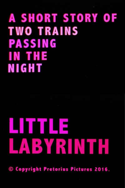 Little Labyrinth