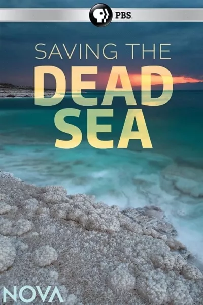 Saving the Dead Sea