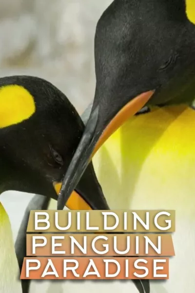 Building Penguin Paradise