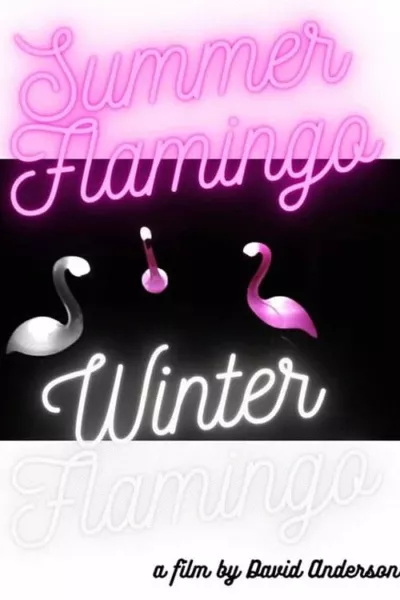 Summer Flamingo Winter Flamingo