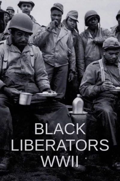 Black Liberators WWII