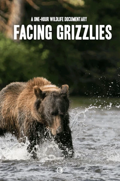 Facing Grizzlies