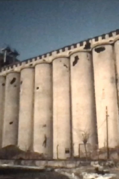 Silo Danube, Vukovar