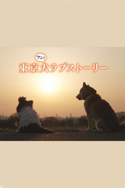 Tokyo Dog Love Story