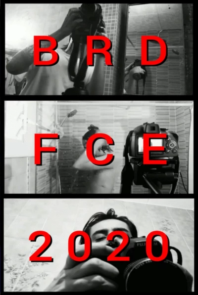 BRDFCE2020