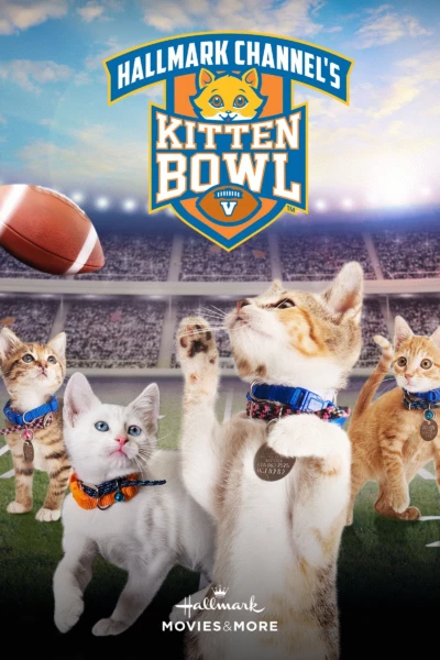 Kitten Bowl V