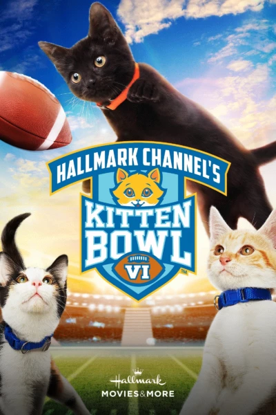 Kitten Bowl VI