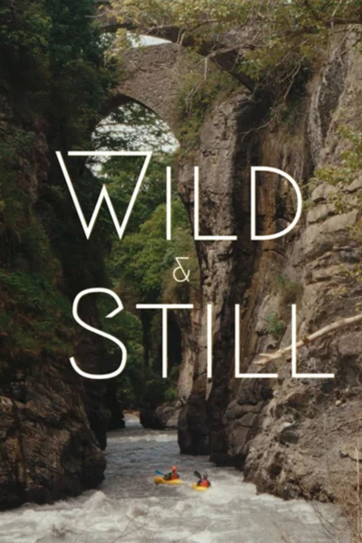 Wild & Still